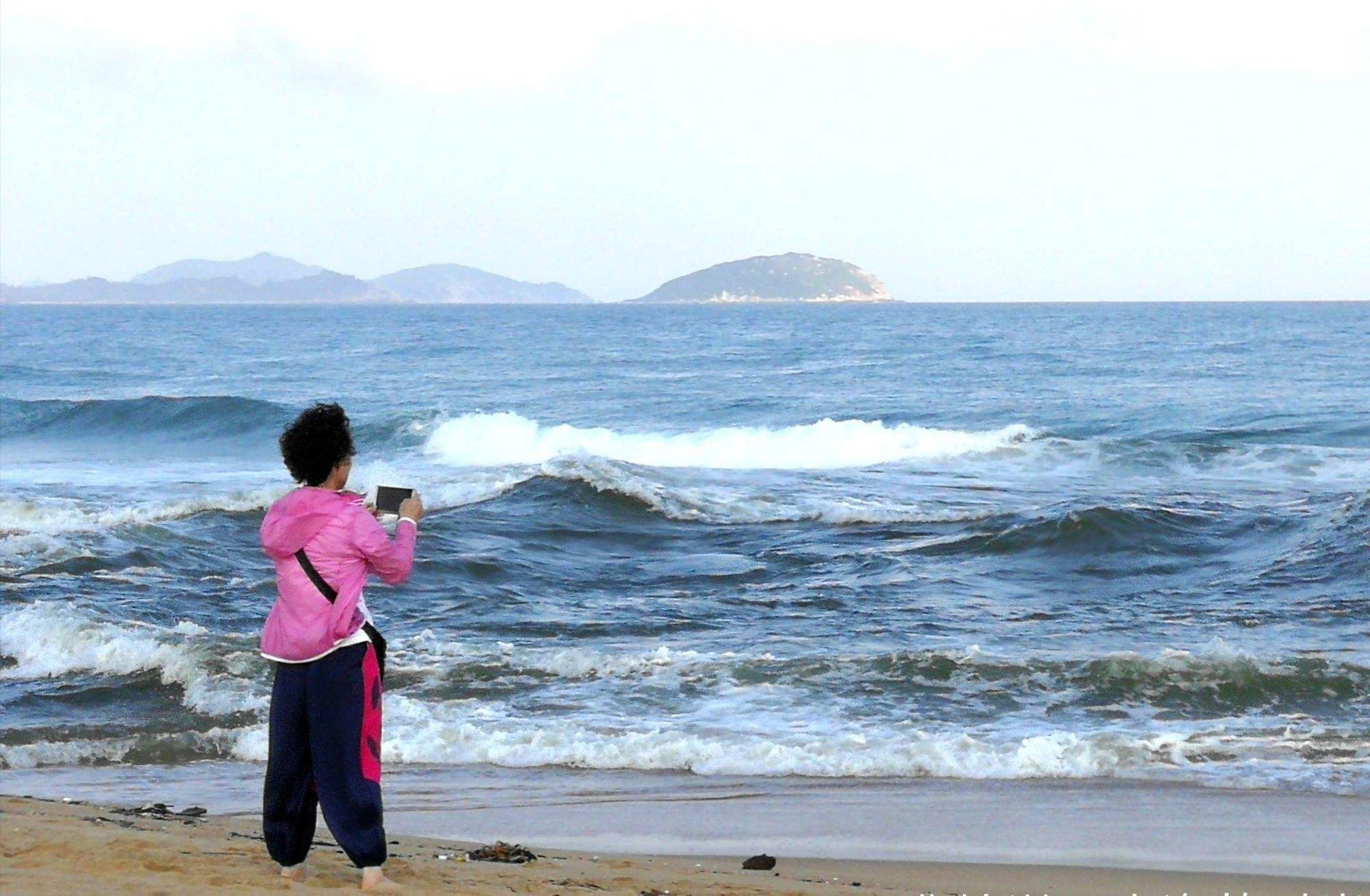 向东是大海(向东是大海剧情分集介绍)